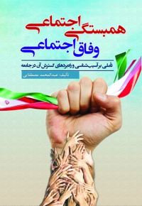 همبستگی اجتماعی، وفاق اجتماعی